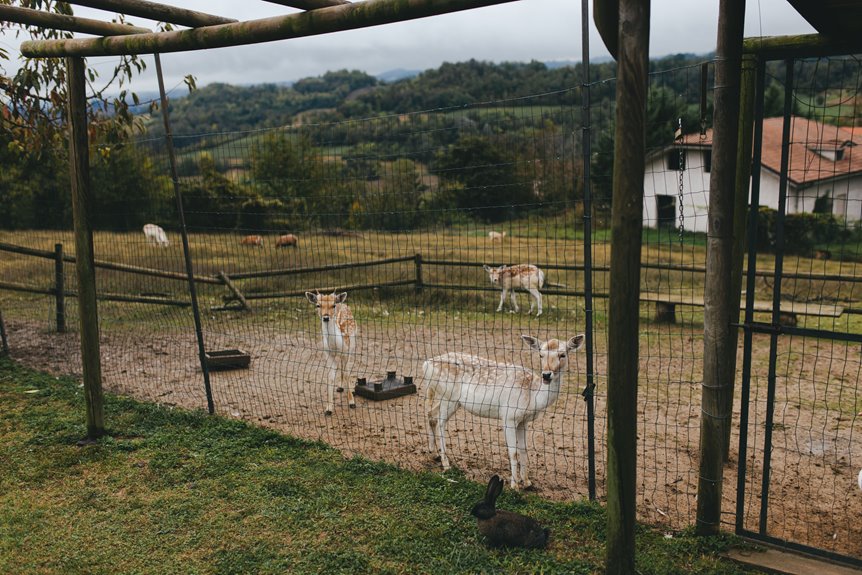 high fence deer management guide