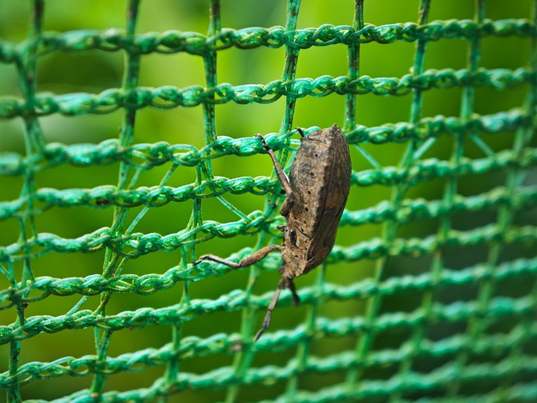 how to obtain bug net