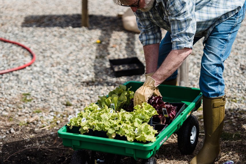 six yard cart vs wheelbarrow differences