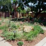 A landscaped backyard garden with green plants, decorative rocks, and large shade trees behind a brick wall.
