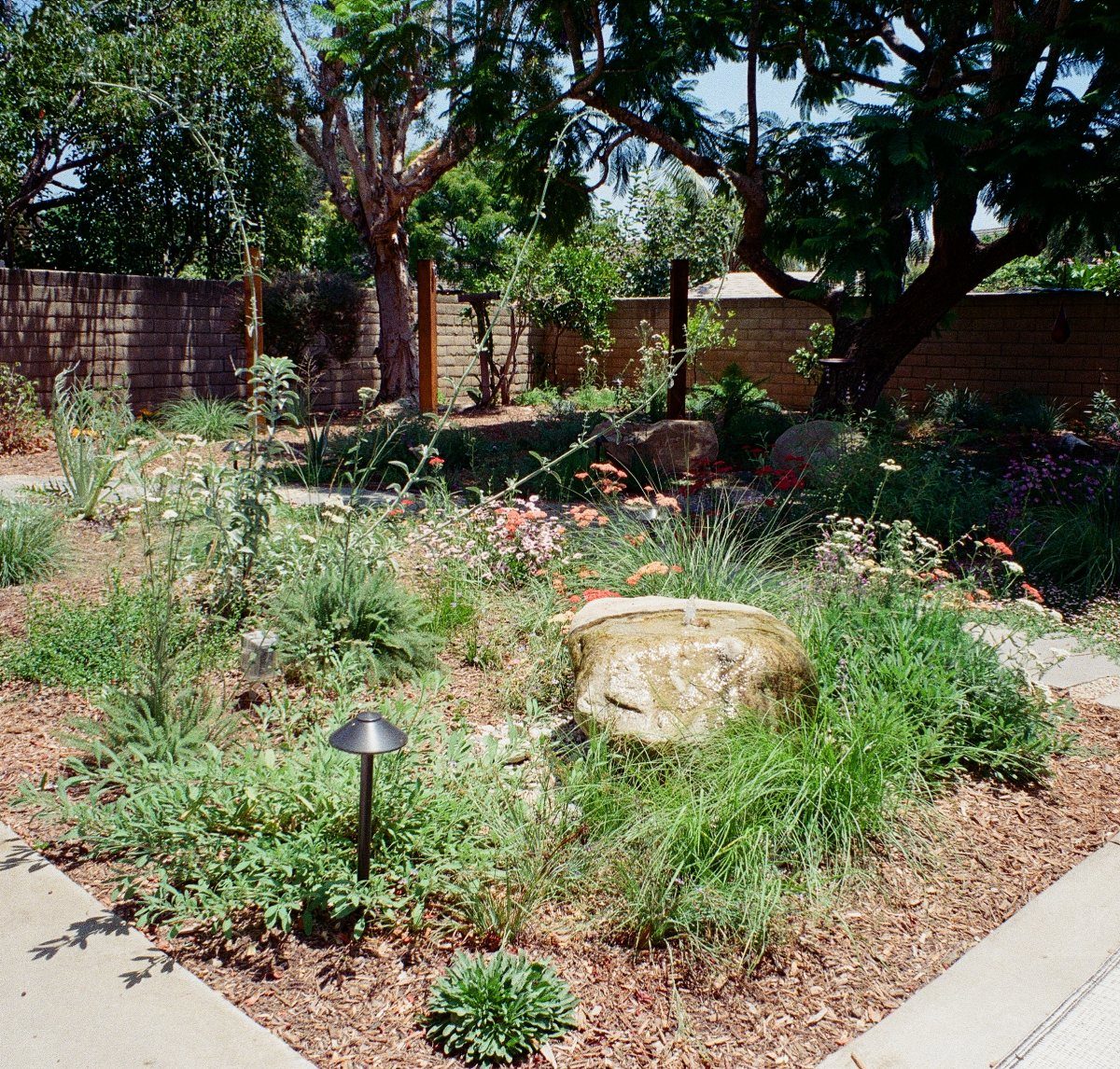 A landscaped backyard garden with green plants, decorative rocks, and large shade trees behind a brick wall.