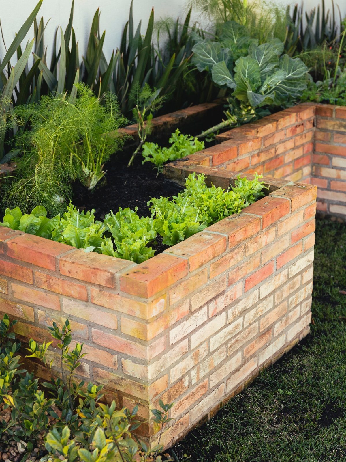 Raised brick garden beds filled with leafy green vegetables and various plants in a garden setting.