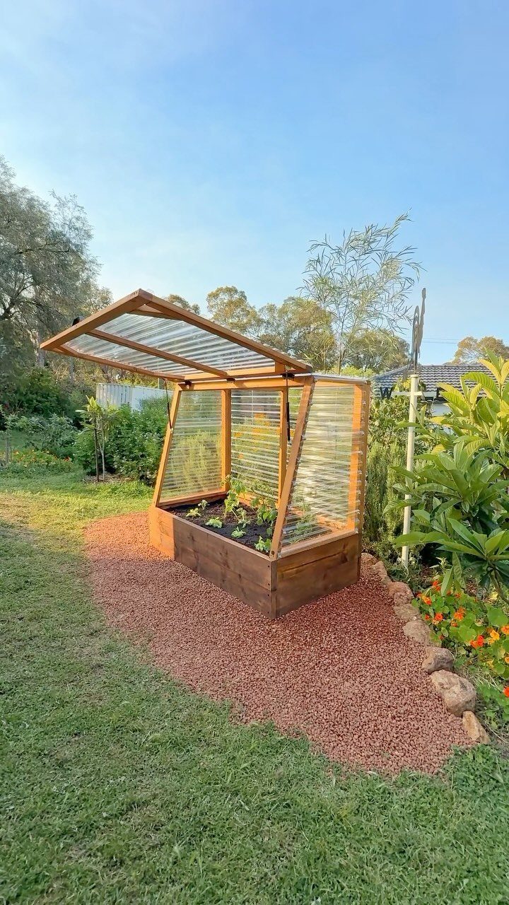 A small wooden mini greenhouse with an open lid sitting on gravel in a garden.