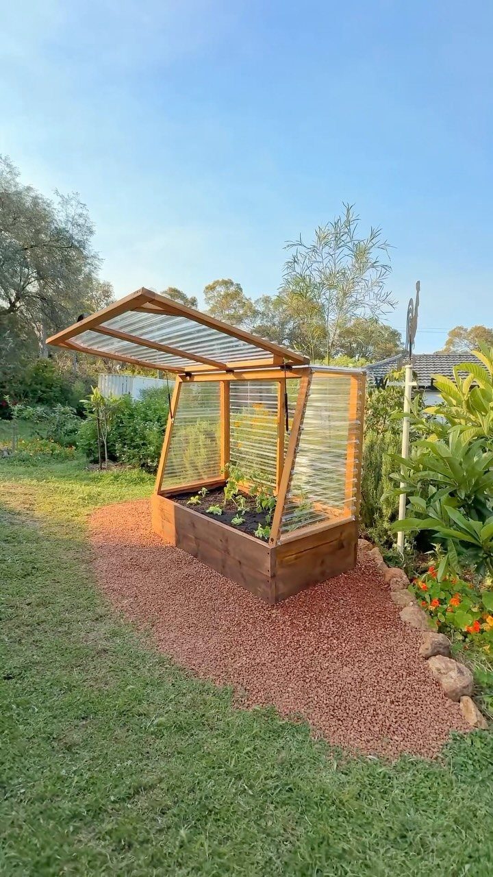 Raised Garden Layout and Design: 11 Inspiring Ideas 7 A wooden raised garden bed with a hinged glass lid open over small plants.