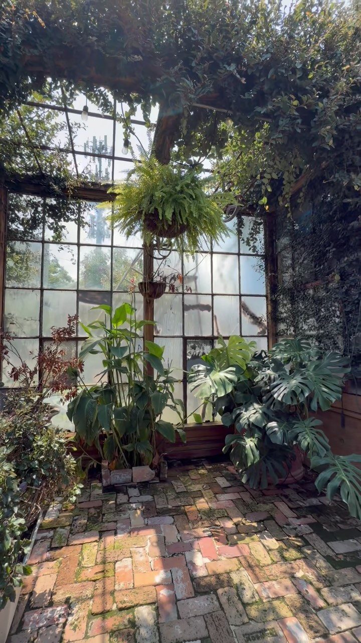 Brick pathway winding through a lush greenhouse filled with various green plants and large glass windows.