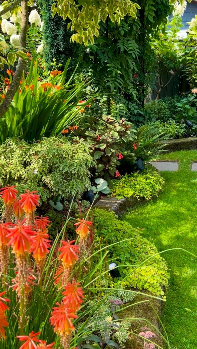 13 Cottage Garden Front Yard Ideas for Curved Paths to Climbing Roses 5 Orange aloe flowers and green ground cover plants bordering a lush green lawn.