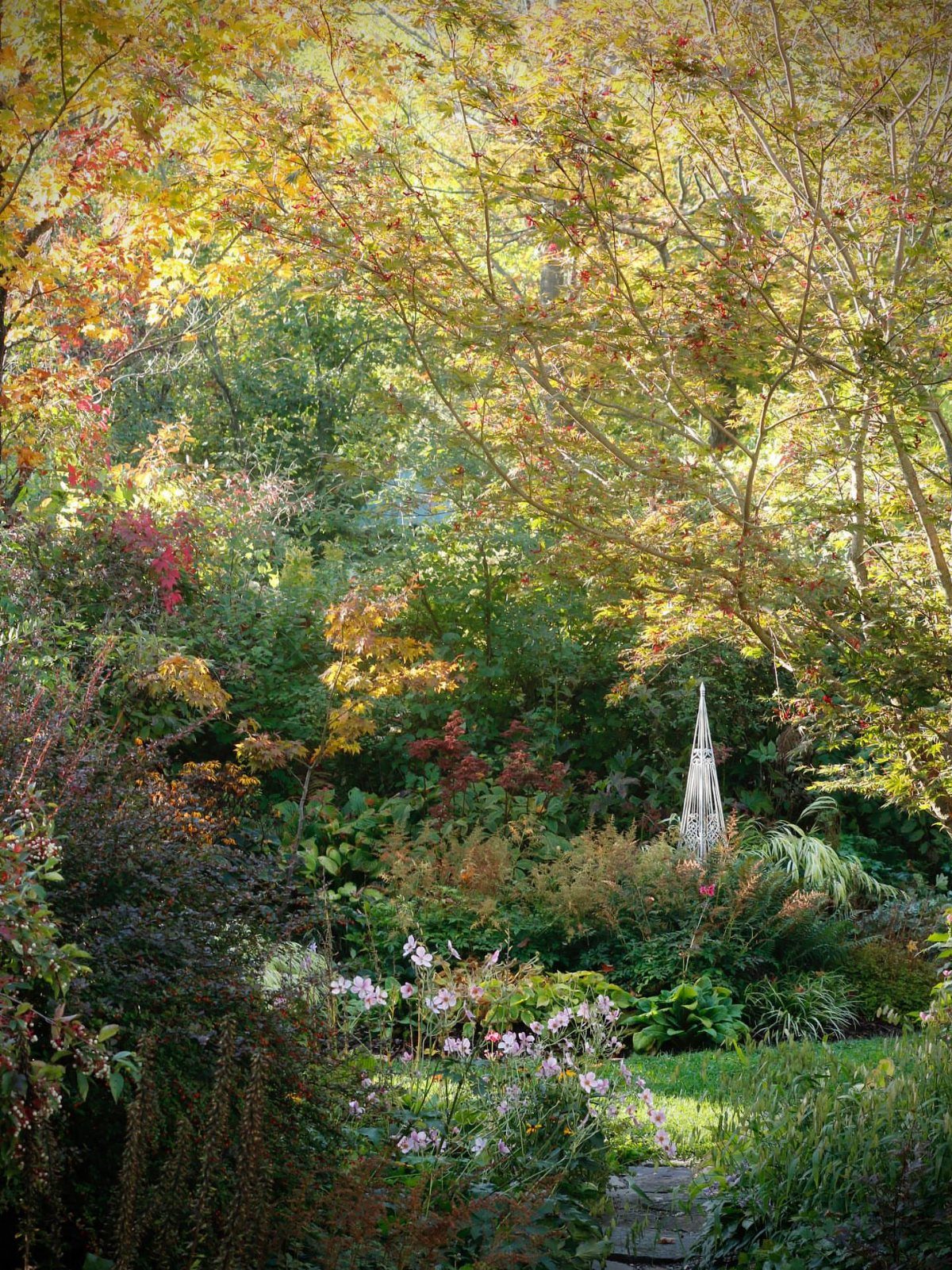 A vibrant garden filled with trees displaying yellow, orange, and red autumn foliage.