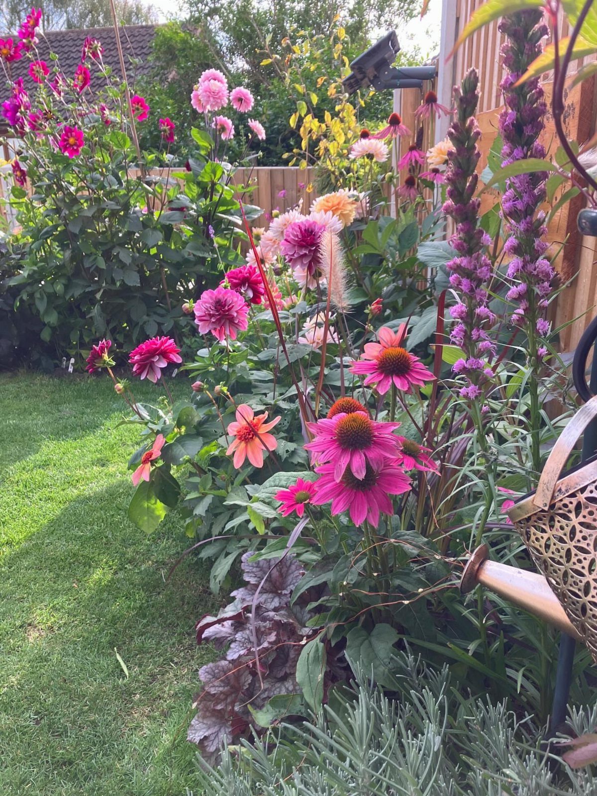 Vibrant pink and orange flowers growing densely in a lush garden bed next to a lawn.