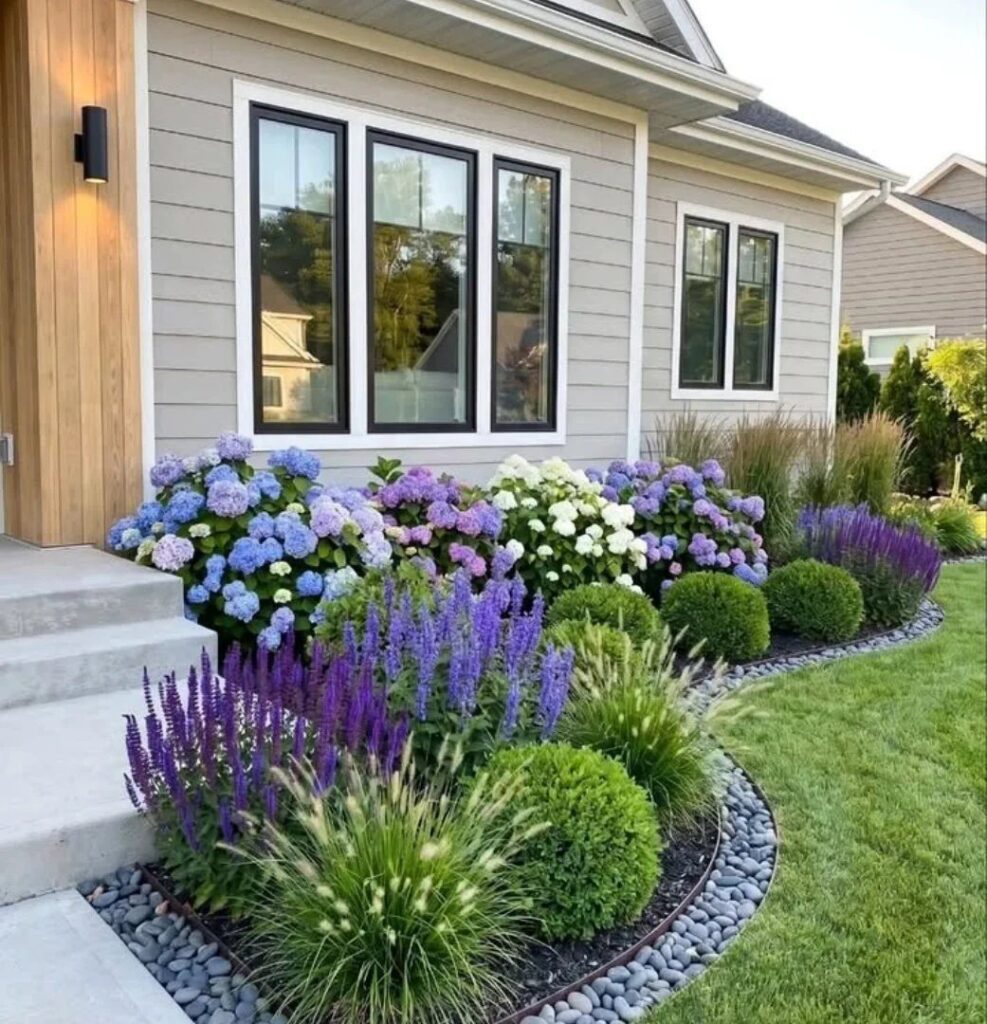 Colorful hydrangeas and purple flowers planted in a landscaped garden bed along a house exterior.