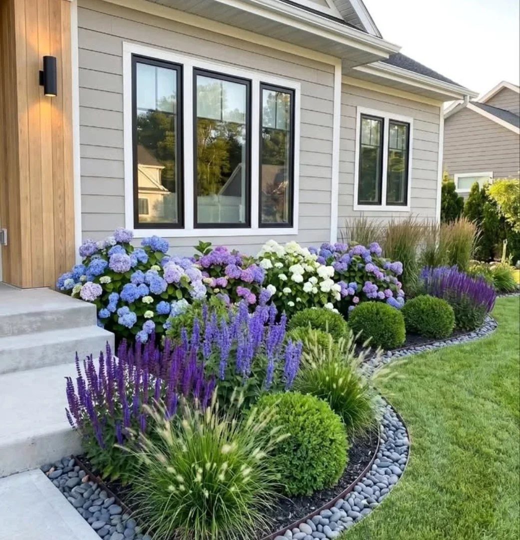 Colorful hydrangeas and purple flowers planted in a landscaped garden bed along a house exterior.