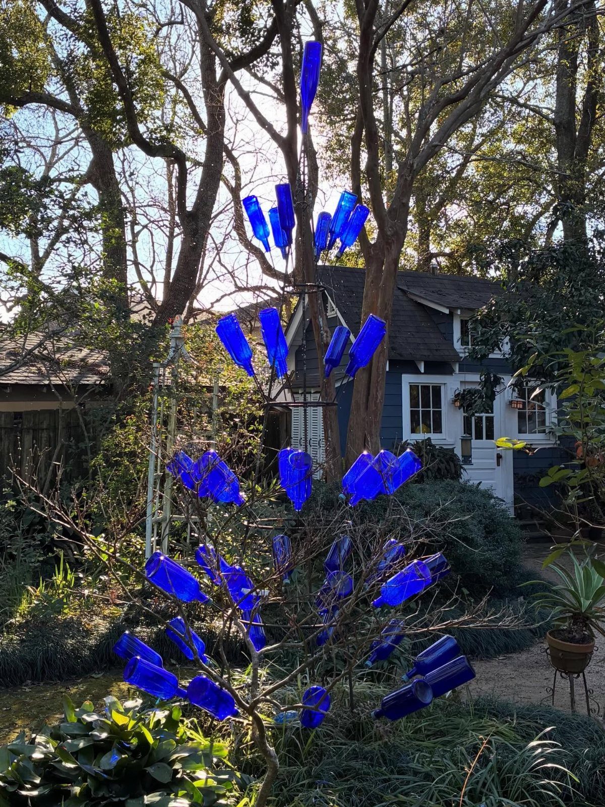 Blue glass bottles attached to a metal tree structure in a sunny garden setting.