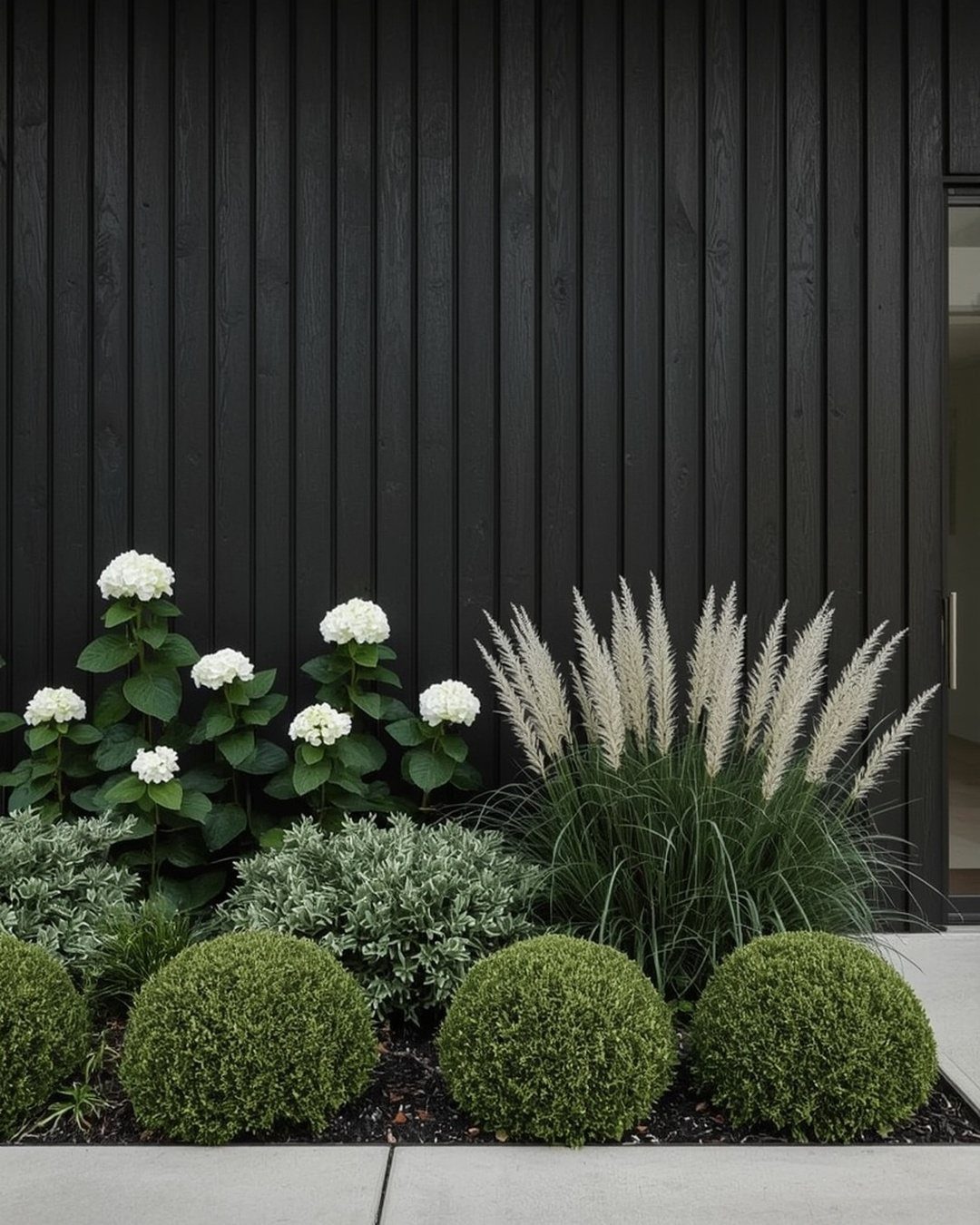 Manicured green shrubs and white hydrangeas planted against a black vertical wood wall.
