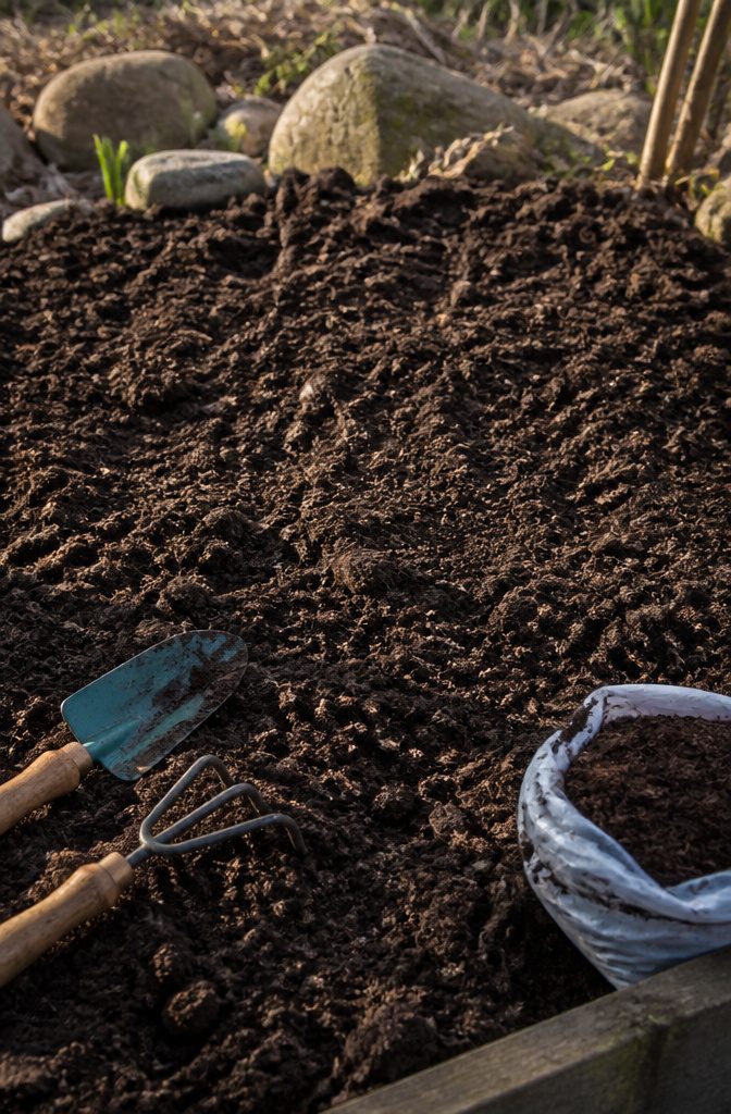 How to Start a Garden: 9 Steps to Grow Your First Plants 3 Close-up of dark, well-prepared soil with gardening tools and compost.