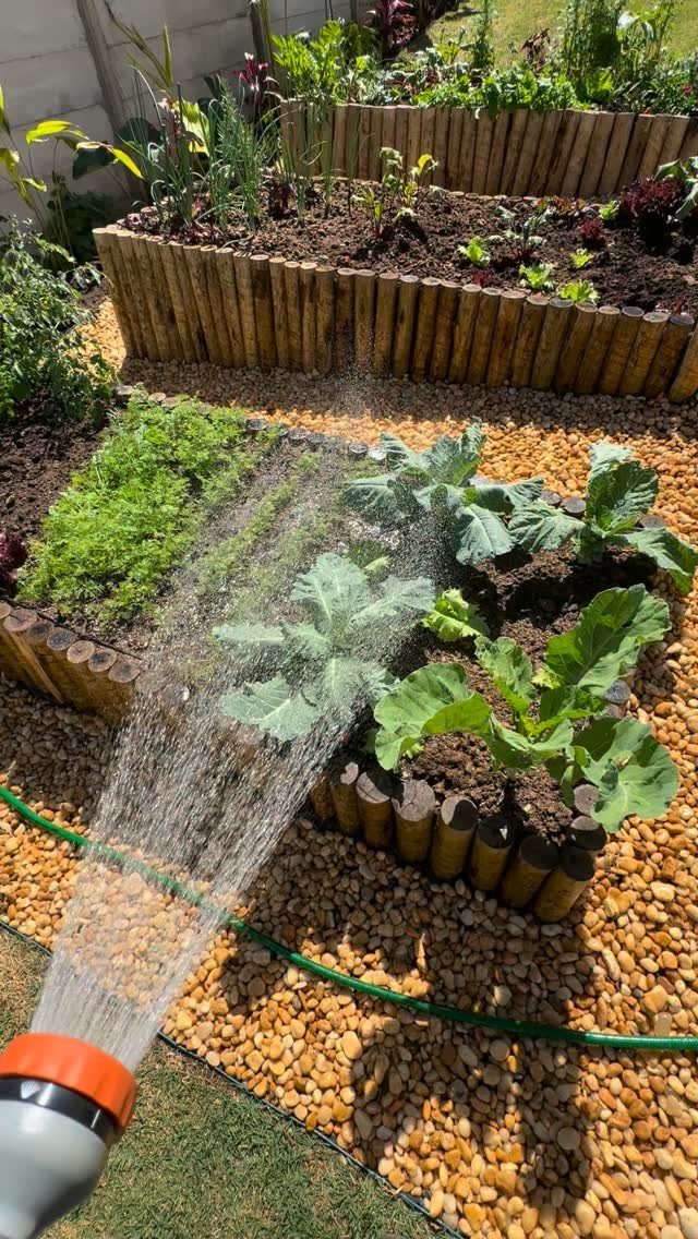 Raised Garden Layout and Design: 11 Inspiring Ideas 4 Water from a garden hose sprays onto green vegetables in wooden raised garden beds.
