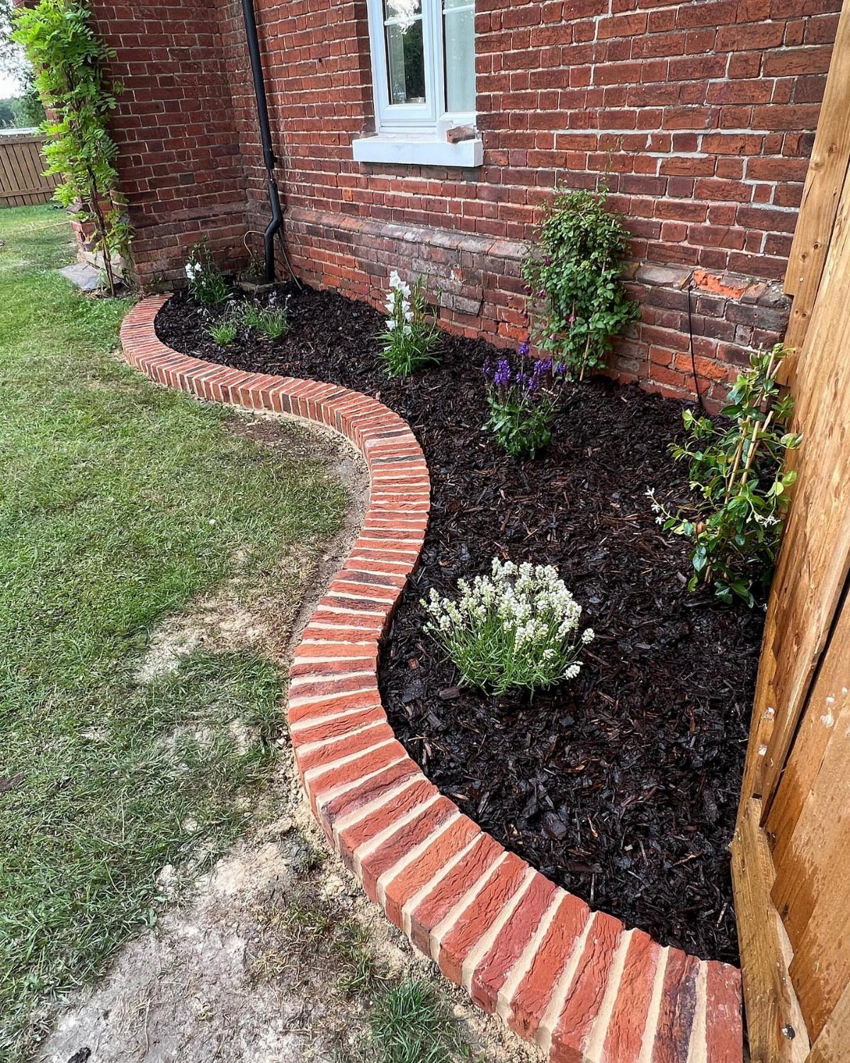 A curved brick border edges a dark mulched flower bed with small flowering plants against a brick wall.