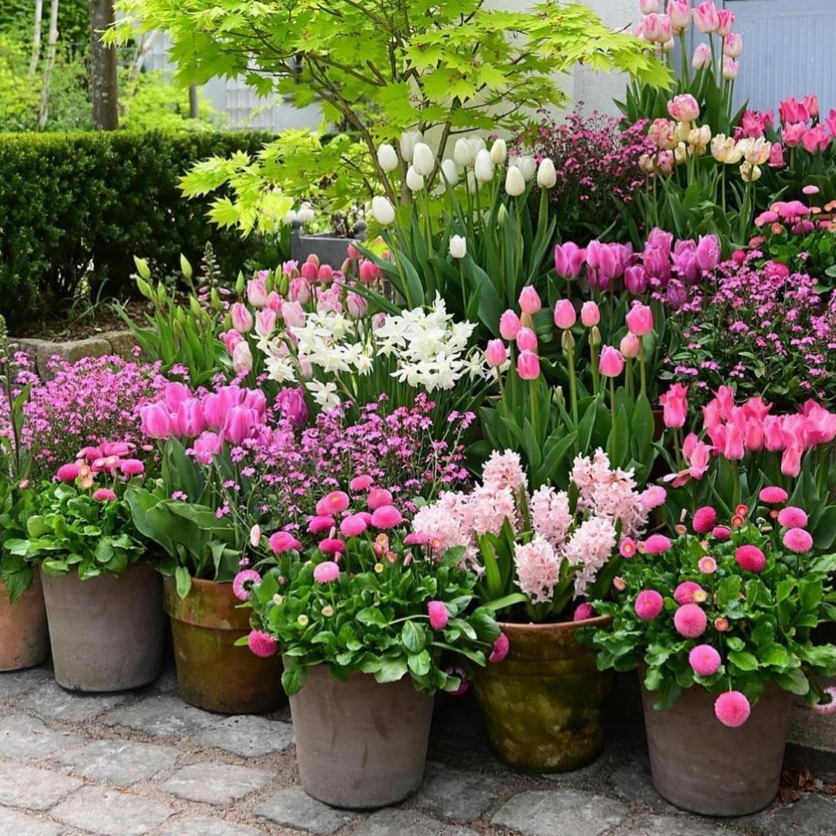 Various potted spring flowers including pink tulips and white hyacinths on a stone patio.