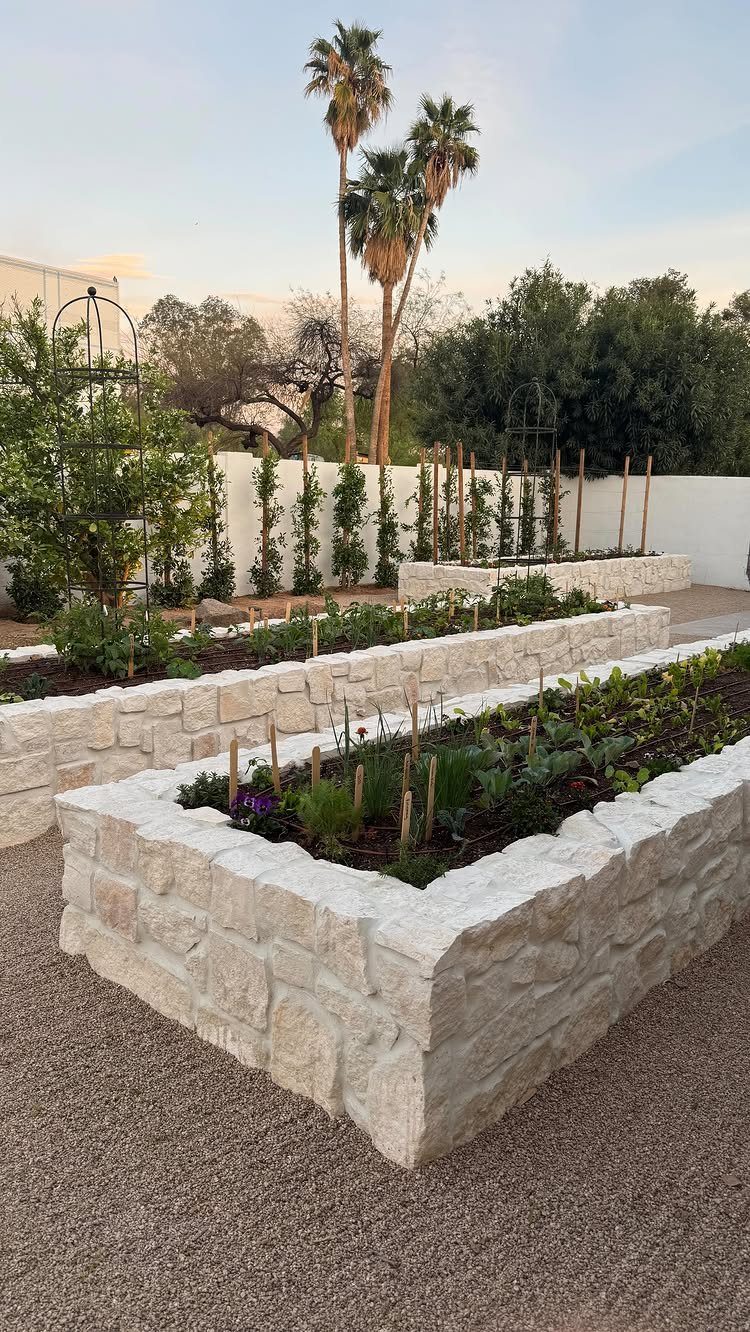 Three stone raised garden beds filled with green plants in a gravel courtyard with palm trees.