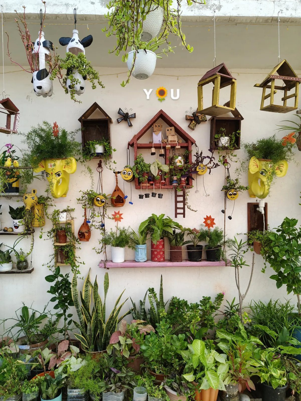 Various hanging planters and birdhouses with green plants growing on a white wall.