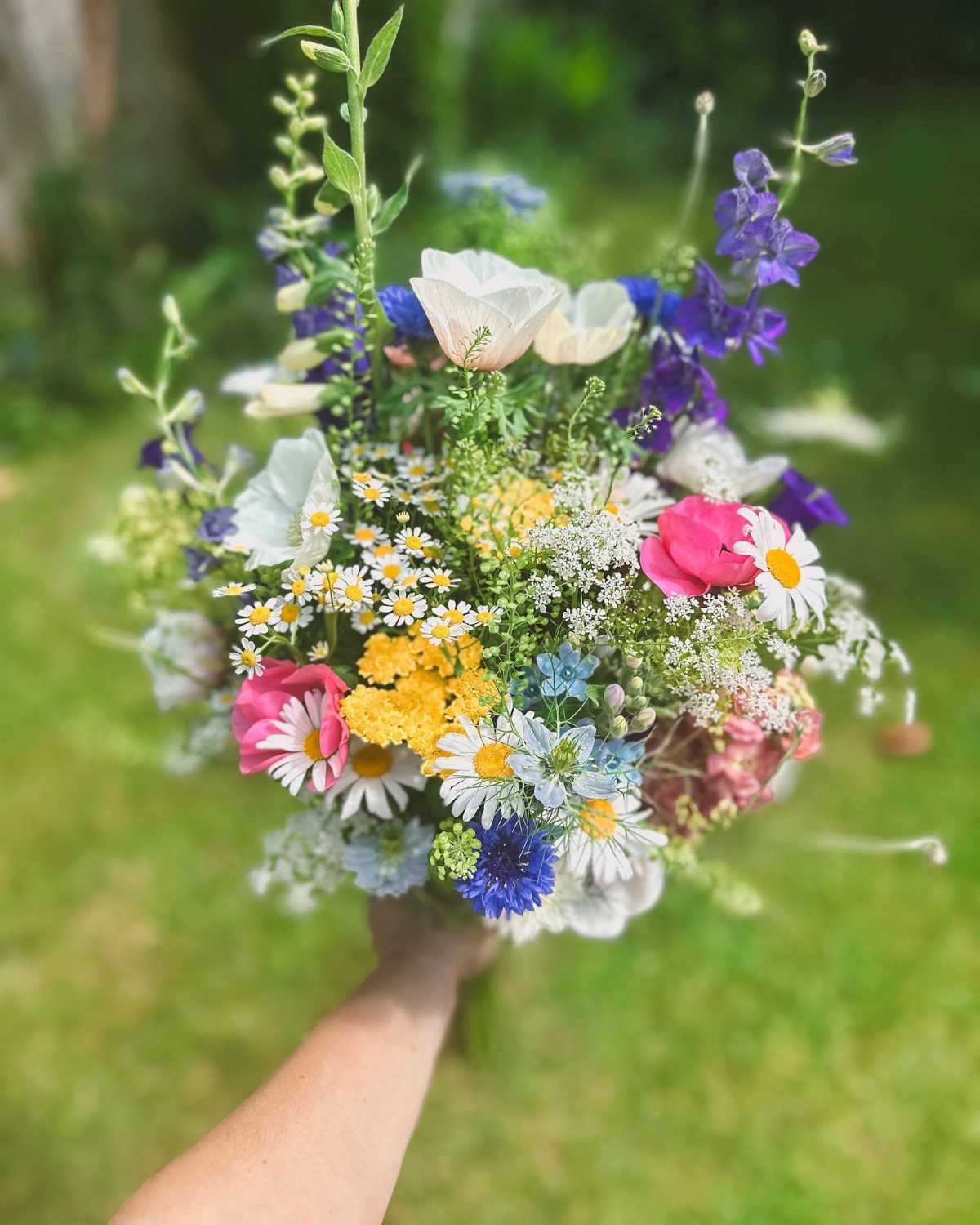 A hand holding a vibrant bouquet of various wildflowers and weeds in a sunny garden.