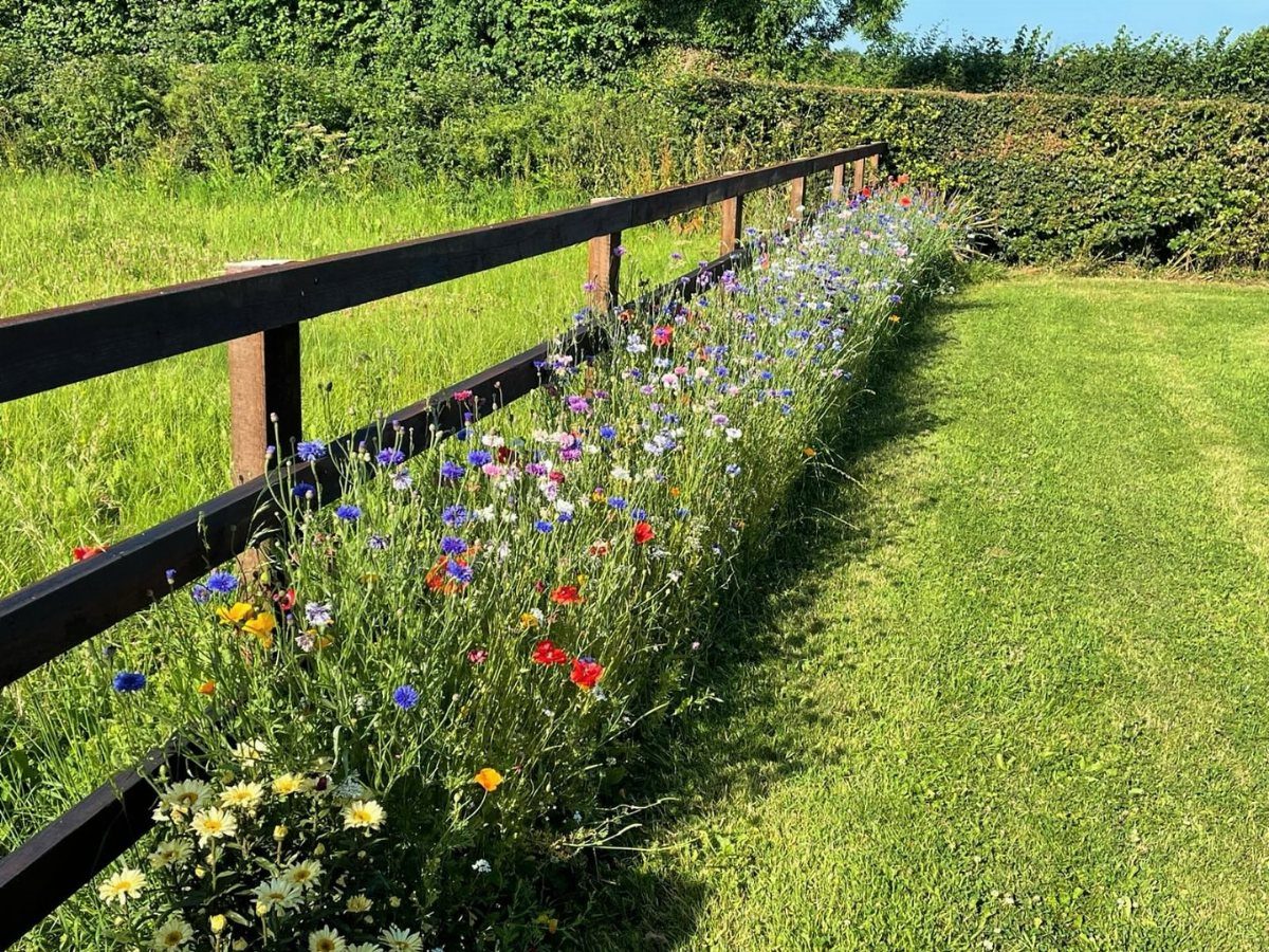 13 Cottage Garden Front Yard Ideas for Curved Paths to Climbing Roses 7 Wildflowers in various colors growing in a dense row along a dark wooden fence line.