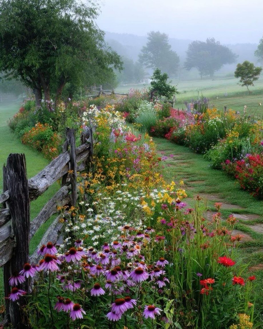 Colorful wildflowers growing along a rustic wooden fence and a narrow garden path in a misty field.